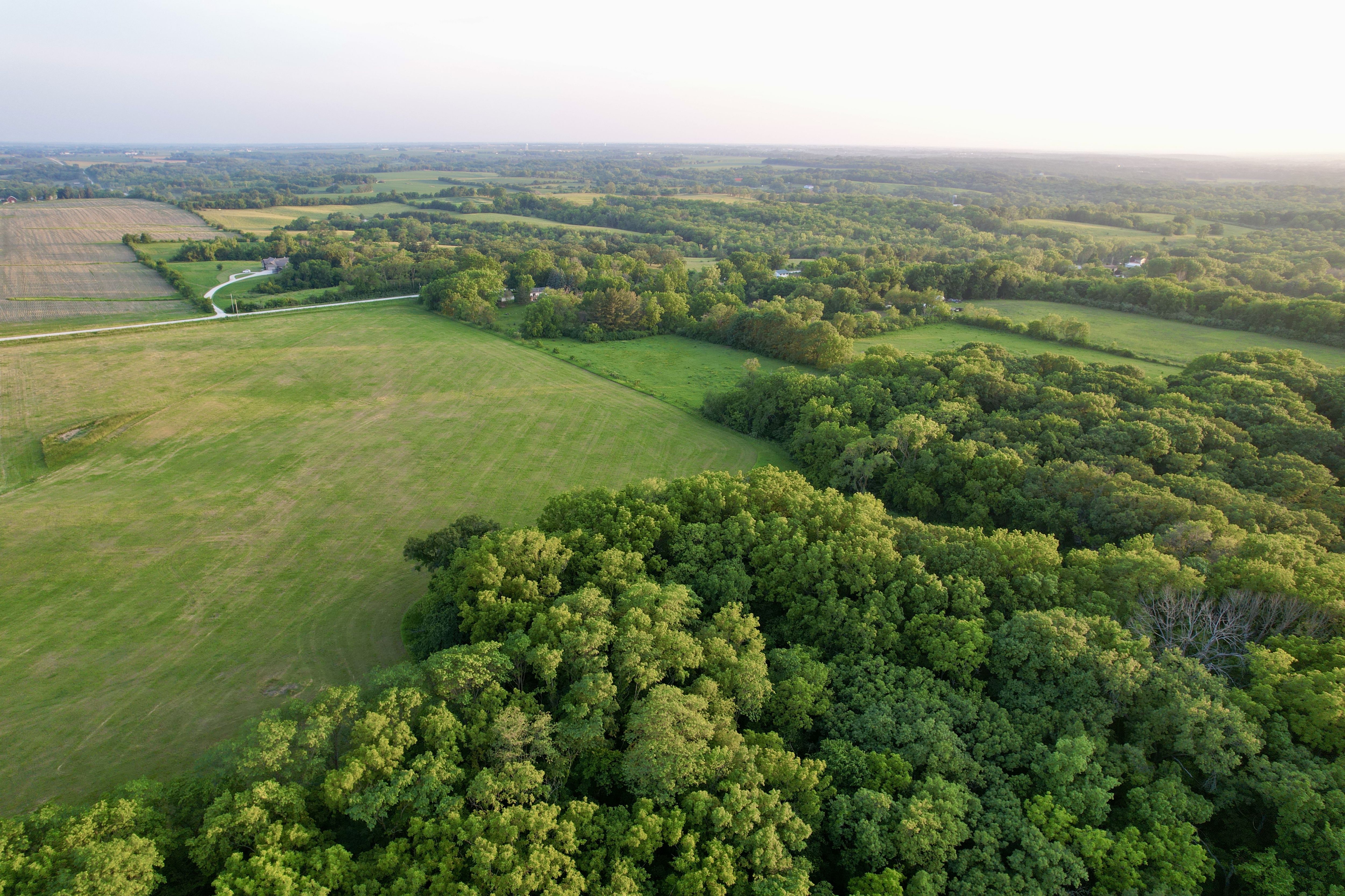 Listing Photo: Photo Jun 11 2025, 8 14 48 PM